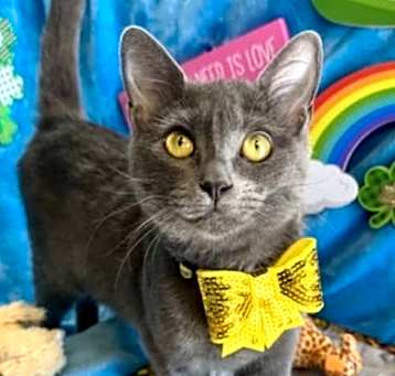 Photo of Dutchess