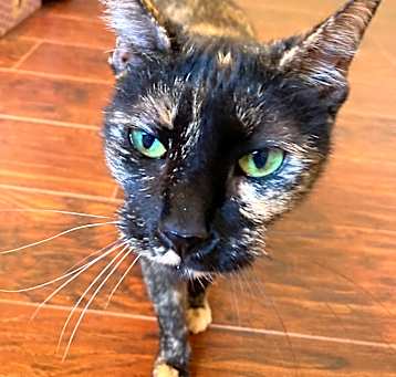 Photo of Tasha 