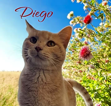 Photo of Diego