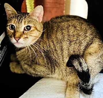 Photo of Maxie