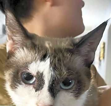 Photo of Nezuka
