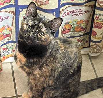 Photo of Elvira