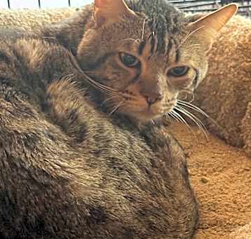 Photo of Titus