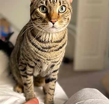 Photo of Luna
