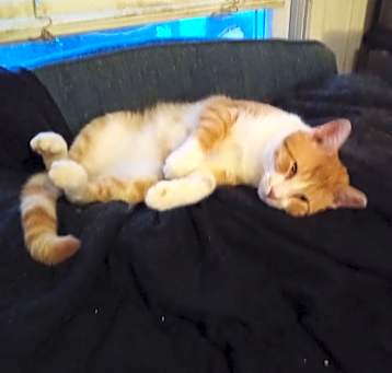 Photo of Mr. Charming