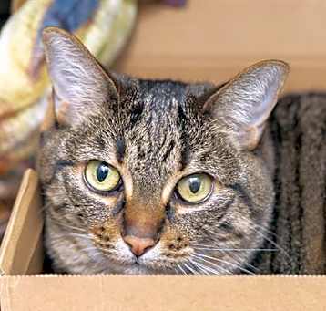 Photo of MURPHY