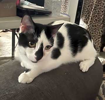 Photo of Cait