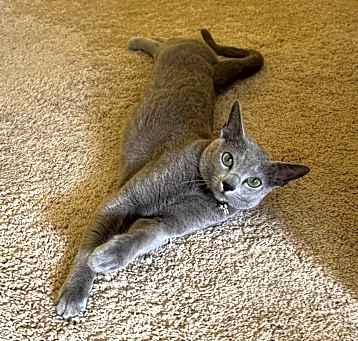 Photo of Catu