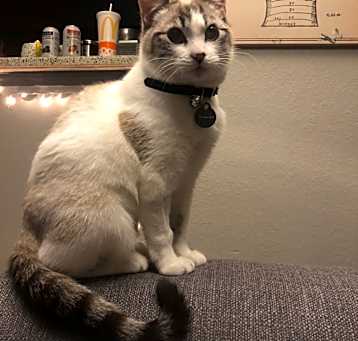 Photo of Korra