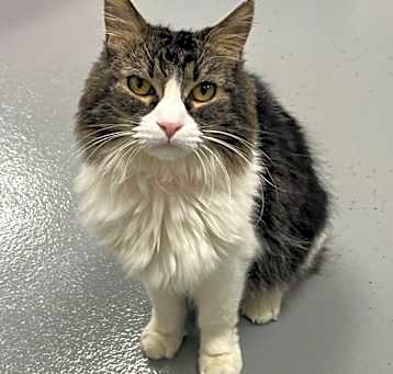 Photo of MEW in FOSTER