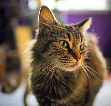 Photo of Tabitha