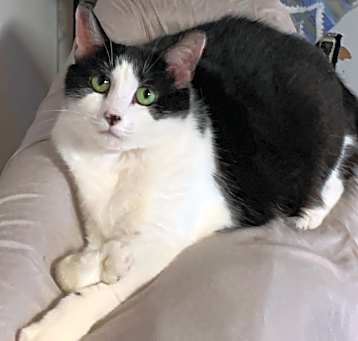 Photo of Lucky Bean Estep