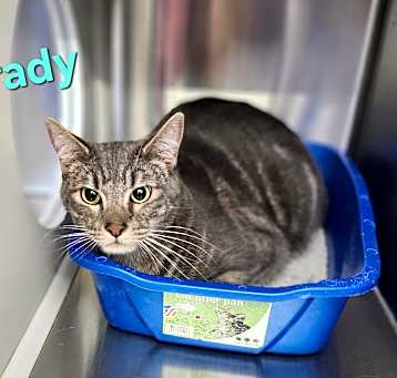 Photo of Grady