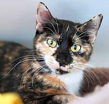 Photo of Bootsie
