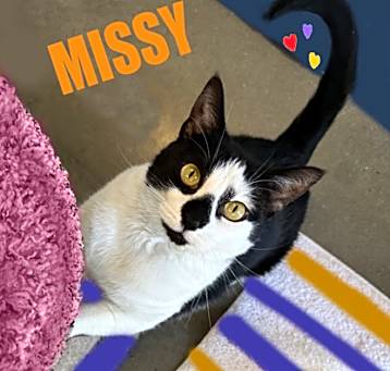 Photo of Missy
