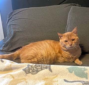 Photo of Jerry Junior