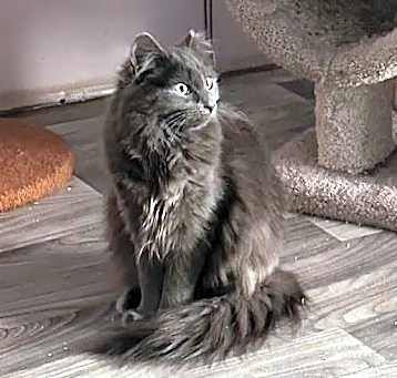 Photo of Delilah