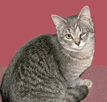 Photo of Faith