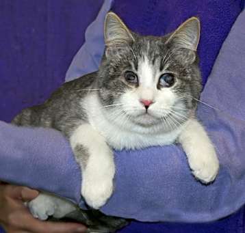 Photo of Filbert