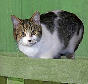 Photo of Franny