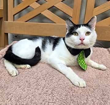 Photo of Oliver