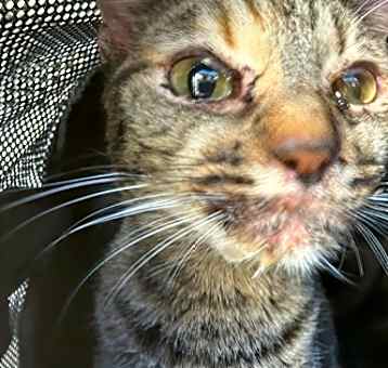 Photo of No Name