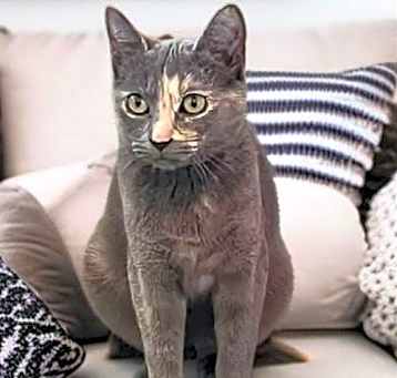 Photo of Charlie