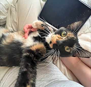 Photo of Cady