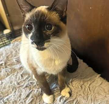Photo of Theo