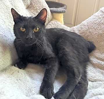 Photo of Bucky
