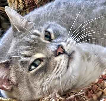 Photo of Yeti