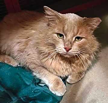 Photo of Jasper