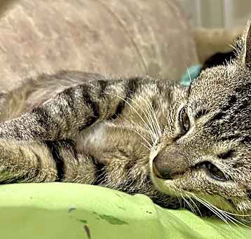 Photo of Alvin