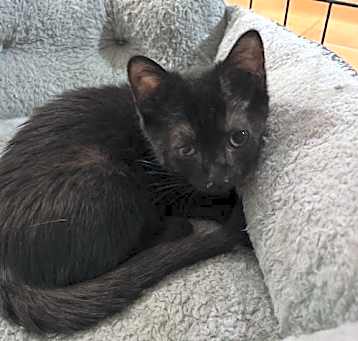 Photo of Gia