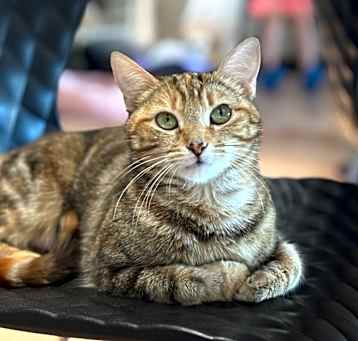 Photo of Katy Purry