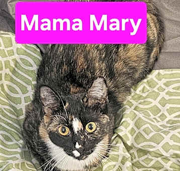 Photo of Mama Mary
