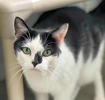 Photo of Bubbles McCollum