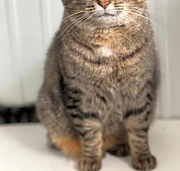 Photo of Jasmine