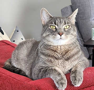 Photo of Bella