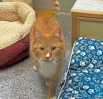 Photo of Mittie