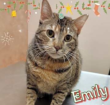 Photo of Emily