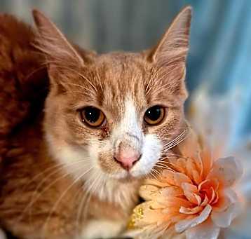 Photo of Remedy
