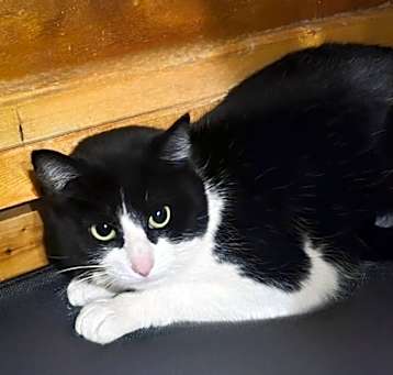 Photo of Donna