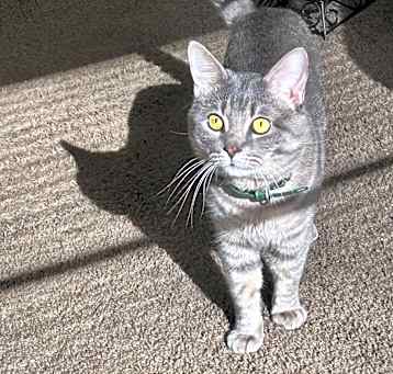 Photo of Ciaro
