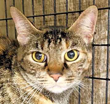 Photo of 2025-05 Ethel