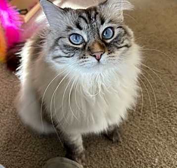 Photo of Faye