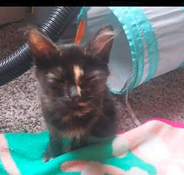 Photo of Sally