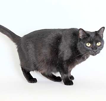 Photo of Penelope