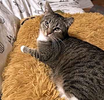 Photo of Sassy