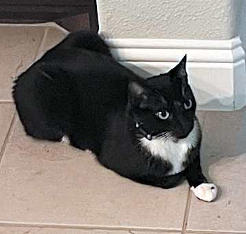 Photo of Bob